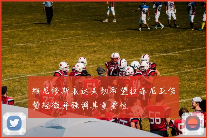 维尼修斯表达关切希望拉菲尼亚伤势轻微并强调其重要性